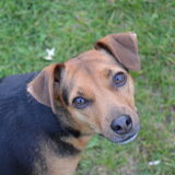 Foto van Babiche&Lilly Djunky