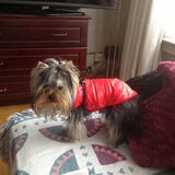 Lance in red....eens wat anders dan Lady in red.....