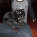Foto van Henriette