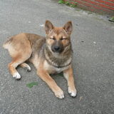 Yuuka juni 2008