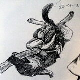 Baco inkt