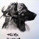 Taika houtskool