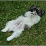 Even relaxen