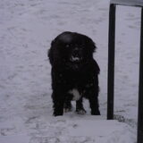 Foto van tessa