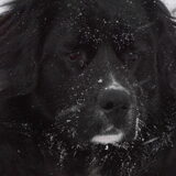 Foto van tessa