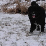 Foto van tessa