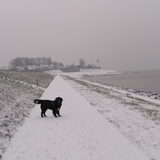 Foto van tessa