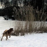 24-01-2013 winter in Noordsterpark