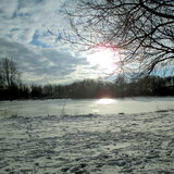 24-01-2013 winter in Noordsterpark