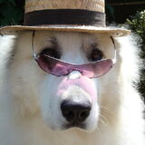 Meneer Quinn!!