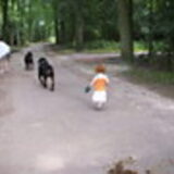 Foto van Tineke *Luna * Rambo (Brutus R.I.P)