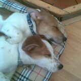 jazz en max