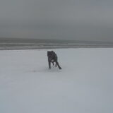 lekker in de sneeuw op strand