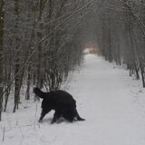 Foto van tessa