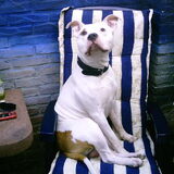 Foto van Devil&Lucky