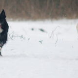 Mara en Evy!