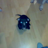 Foto van Devil&Lucky
