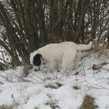 Lekker in de sneeuw