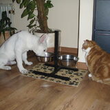 Silas eet onder toezicht van Choedso:)