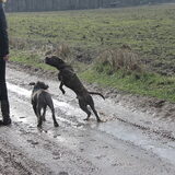 Foto van wesley en jade