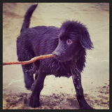 Balou aan zee in oktober
