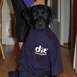 Scott als maSCOTTe voor het blaadje van de zaak! :-)