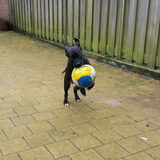 Danger in actie