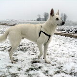 Mike in de sneeuw