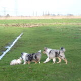 Foto van Lizzie en Sterre