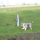 Foto van Lizzie en Sterre