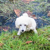 Eerste keer pootje baden :D