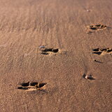 You leave footprints in my heart.