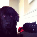 2 schatjes