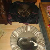 Camila en Zep samen in droomland!
