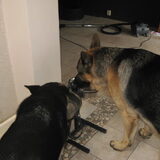 Samen drinken :D