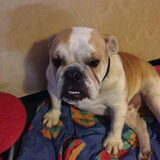Foto van Steph