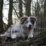Foto van Vivian   <3    Sem