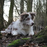 Foto van Vivian   <3    Sem