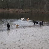 Hp wandeling februari