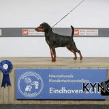 Pixie beste van het ras op de int. dogshow in eindhoven.