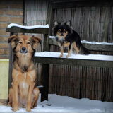 Foto van Sanne