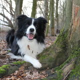 Foto van Vivian   <3    Sem