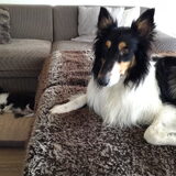 Foto van Esther, Onyx en Flynn