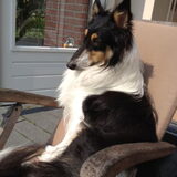 Foto van Esther, Onyx en Flynn