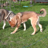 Kobus!!! niet doen!!!
