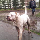 heelijk zo vies worden