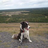 de wandeling in heusden-zolder