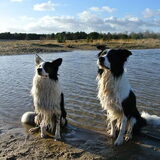 Samen met Gizmo wachten op de bal..
