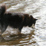 waterpret