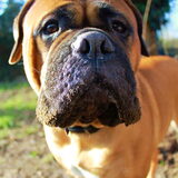 Wanna Kiss?